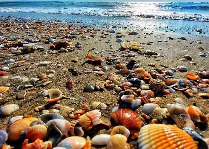 Pacific Palma Готель